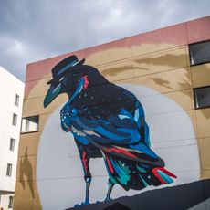 Brussels Corvus Corone