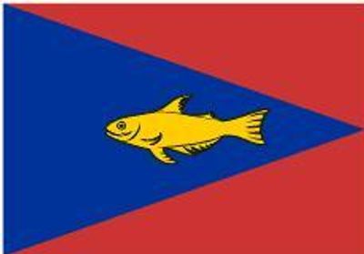 Flag 0
