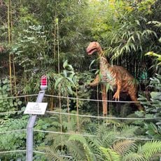 Dinosaures Aventure