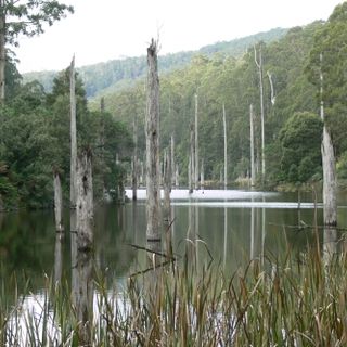 Parque nacional Gran Otway
