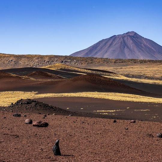 Reserva Natural La Payunia