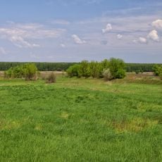 Zamiatnytsky Preserve