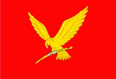 Flag 1