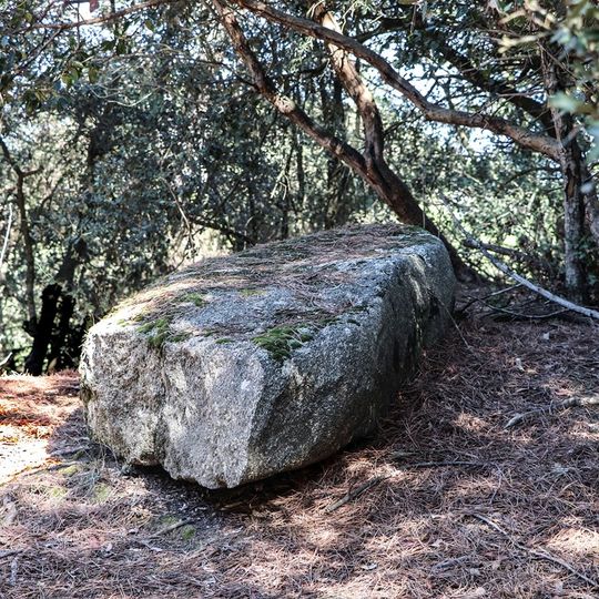 Menhir de la Pedra del Diable