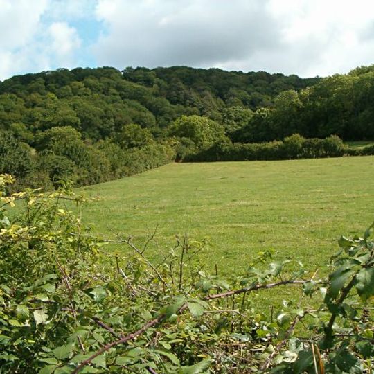 Aller and Beer Woods