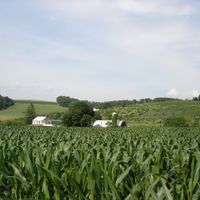 Springfield Township