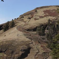 Saddle Mountain