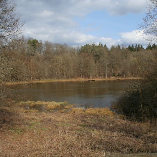 Reihenkrater Mosenberg und Horngraben