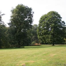 Park pałacowy w Linowie