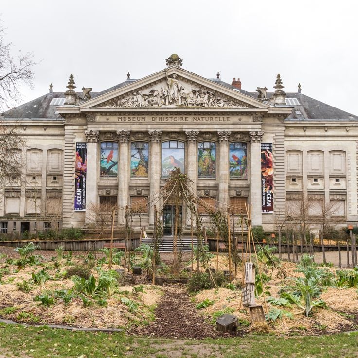 Muséum d'Histoire Naturelle de Nantes