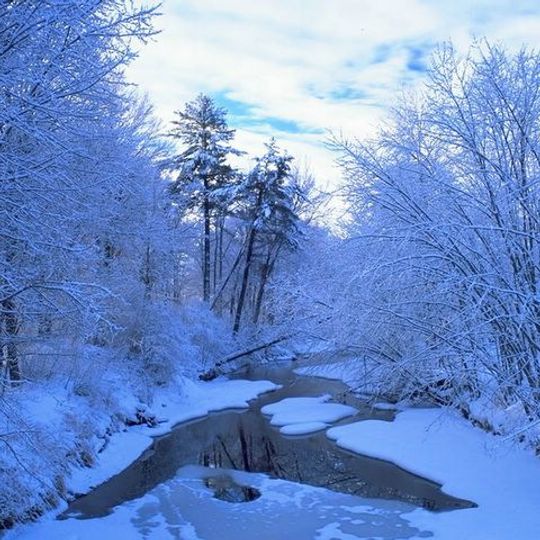 Zapovednik Wolga-Bossteppe