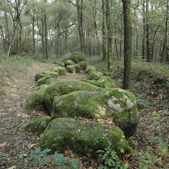 Großsteingrab im Alt-Frerener Forst