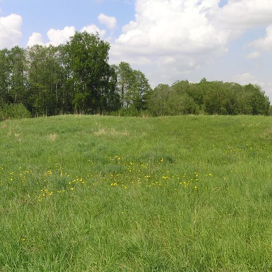 Papilių piliakalnis