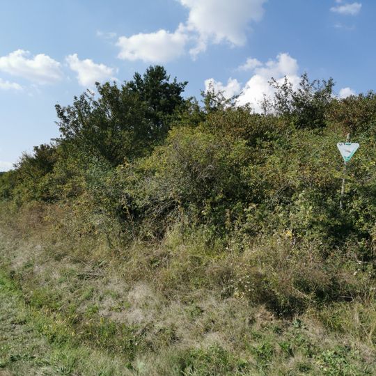 Naturdenkmal Trockenbiotop Behrenbusch