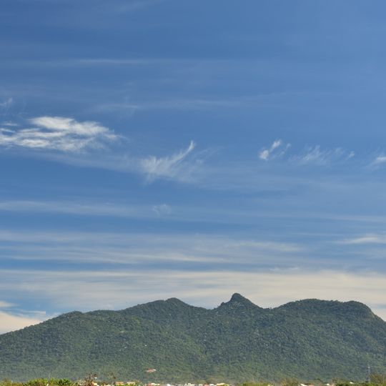 Área de Proteção Ambiental da Bacia do Rio São João - Mico Leão