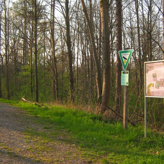 Unteres Feuerbachtal mit Hangwäldern und Umgebung