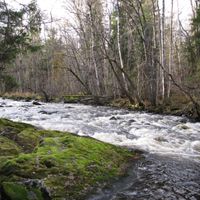 Provincia de Örebro