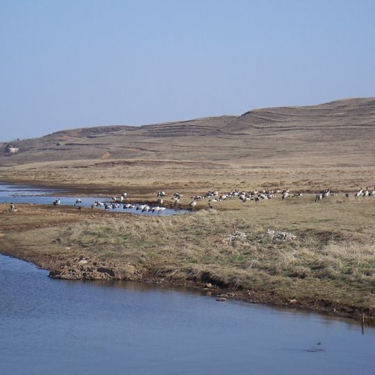 Reserva natural nacional de Dashanbao