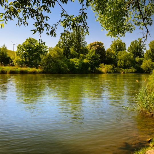 Mainaue zwischen Sommerach und Köhler