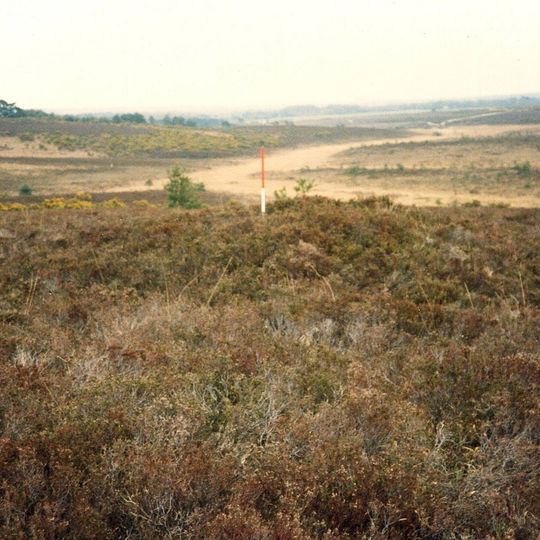 Bowl barrow west of Holmhill Bog