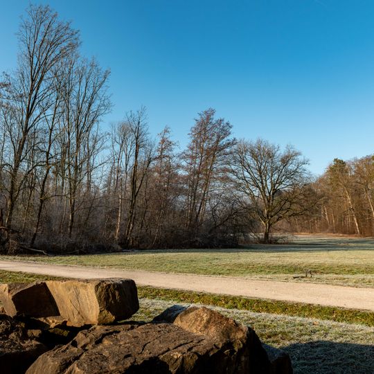 Bachsaum im oberen Tal