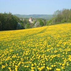 Tannenberg Nentershausen