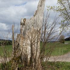 LSG Kreuzberg - Hohe Warte im Gebiet der Stadt Kronach, des Marktes Marktrodach und der Gemeinde Wilhelmsthal, Landkreis Kronach