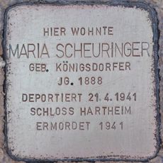 Maria Scheuringer