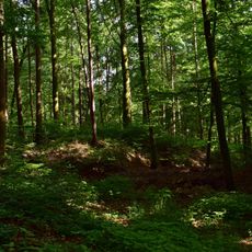 Hallstattzeitliche Hügelgräber