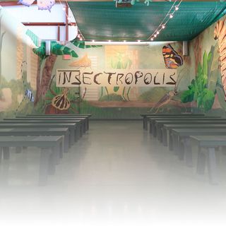 Insectropolis
