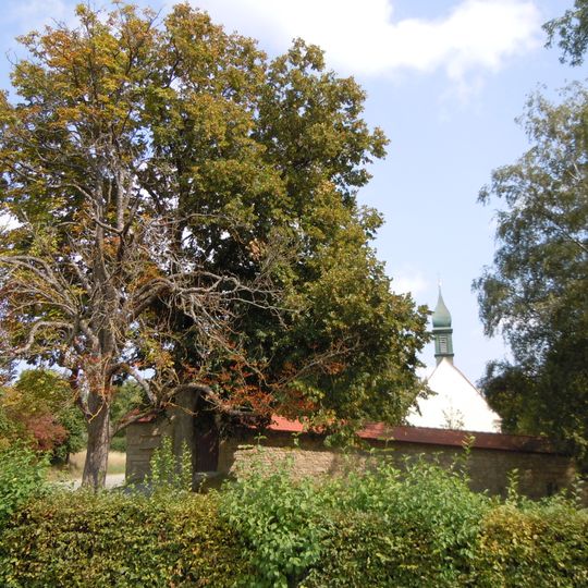 4 Linden, 1 Kastanie