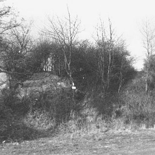 Mühlenberg Bettingen