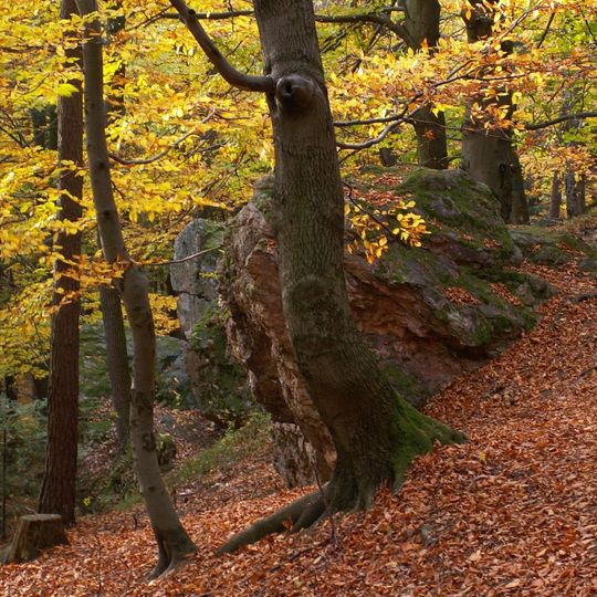 Rezerwat przyrody Kamień Michniowski