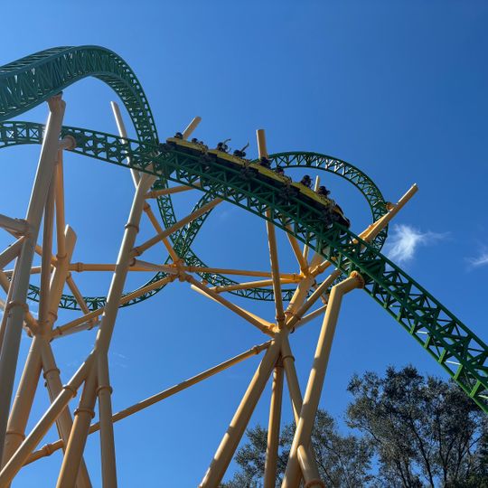 Cheetah Hunt