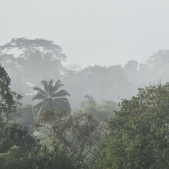 Ziama Strict Nature Reserve