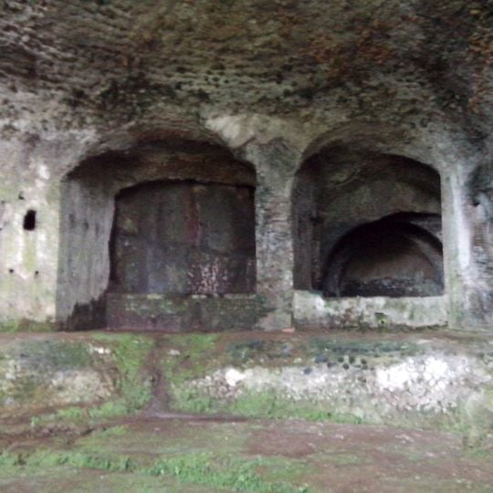 Bergantino nymphaeum