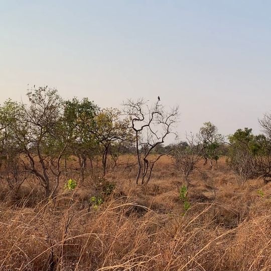 Parc national de Kafue