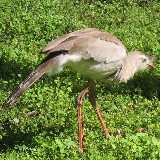 Park Narodowy El Ray