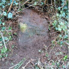 Milestone, between Viney Hill and Etloe