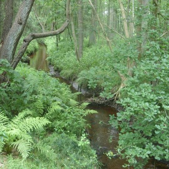 Geestmoor-Klosterbachtal