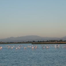 Riserva naturale Salina di Cervia