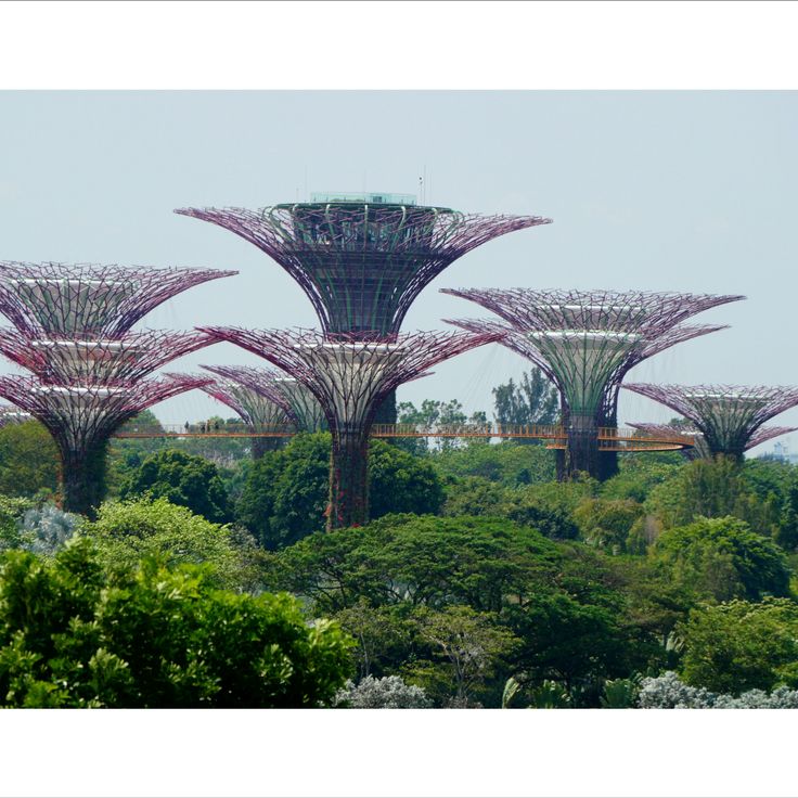 Observatoire Supertree