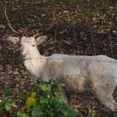 Landschaftsschutzgebiet im Landkreis Saarlouis - im Bereich der Gemeinden Saarwellingen (und Nalbach)