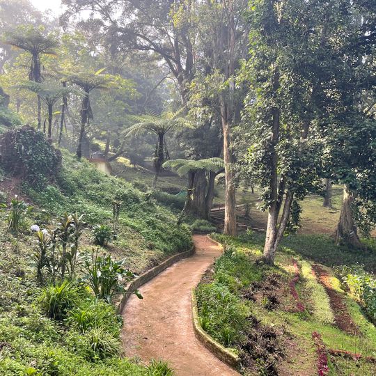 Sim's Park, Coonoor