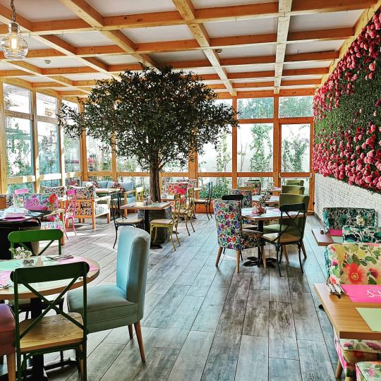 Lily Restaurant