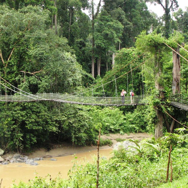 Obszar Ochrony Doliny Danum