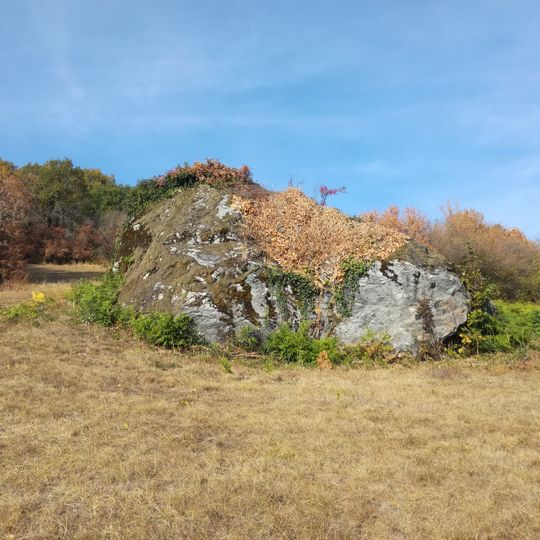 Riant Mont glacial erratic