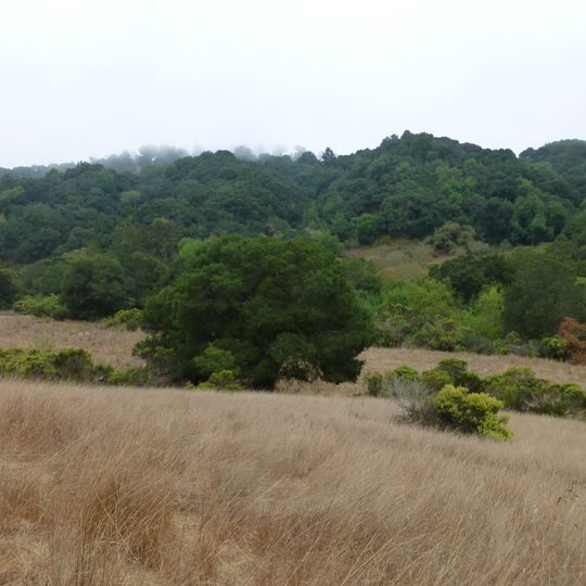 Anthony Chabot Regional Park