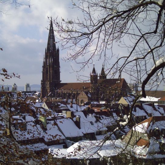 Freiburger Münster