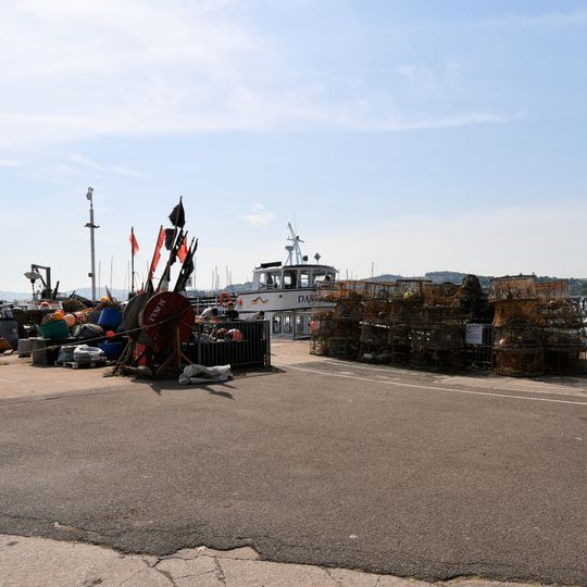 The Fish Quay, Torquay Harbour